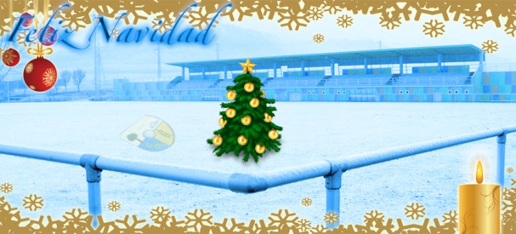 felicitacion_navidad2012-13