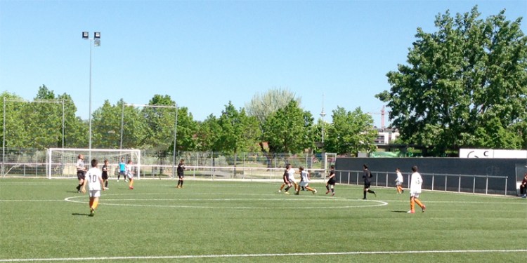 torrelago-alevin_a110513-2