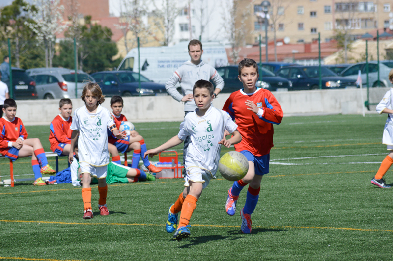 pegaso_benjamin_a3