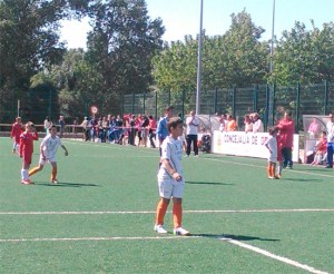 arroyo-prebenjamin_170514-1