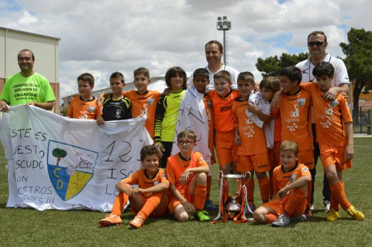 11393408_387187031479624_2539373950816764004_o