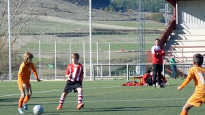 alevinb-sanpio_291115-3-jimy