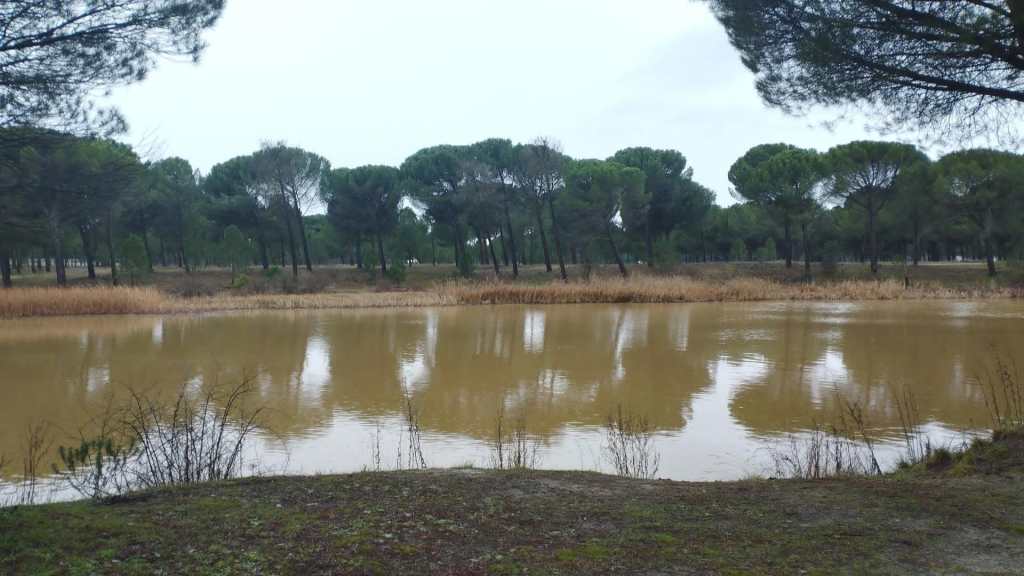 C.D. Íscar – C.D. Parquesol, sábado 20 a las&nbsp;16:00